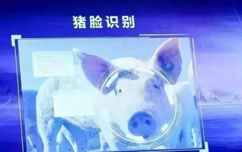 互聯(lián)網(wǎng)巨頭跨界種黃瓜，人工智能引領現(xiàn)代農業(yè)新浪潮