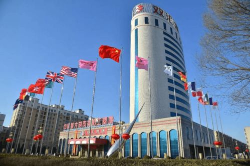 河南民企新標桿 百墩實業(yè)總資產(chǎn)突破1200億元，力壓雙匯中瑞登頂