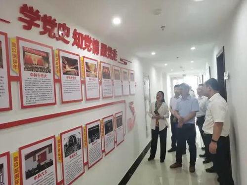 弘揚渡河精神，打造魅力孫口——臺前縣孫口鎮開展喜迎建黨百年主題黨日活動